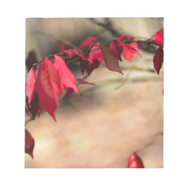 Bloc-note Le feuillage d'automne de Burning Bush - Euonymus  (Devant)