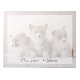 Bloc-note Les bébés animaux les plus mignons   3 bébés Corgi