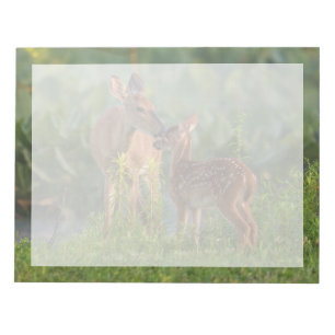 Bloc-note Les bébés animaux les plus mignons Cerf et bébé
