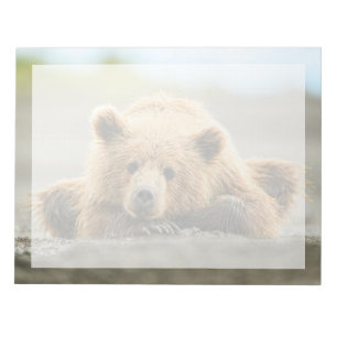 Bloc-note Les bébés animaux les plus mignons   Ourson brun c