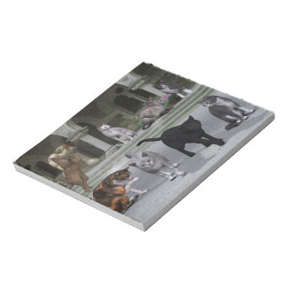 Bloc-note Les chats sur les marches du Palais