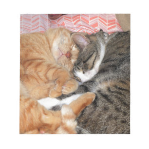 Bloc-note Les copains