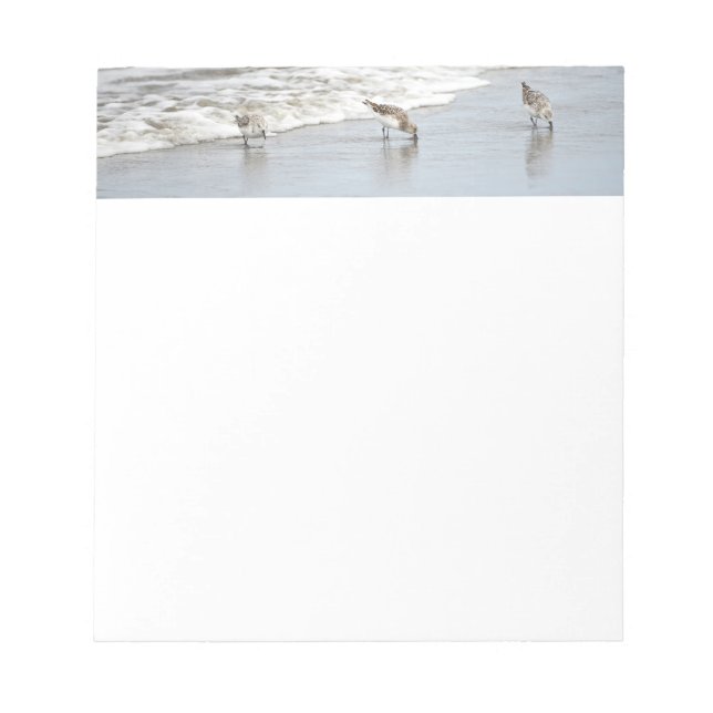 Bloc-note Les oiseaux de plage dans les notes de Surf (Devant)