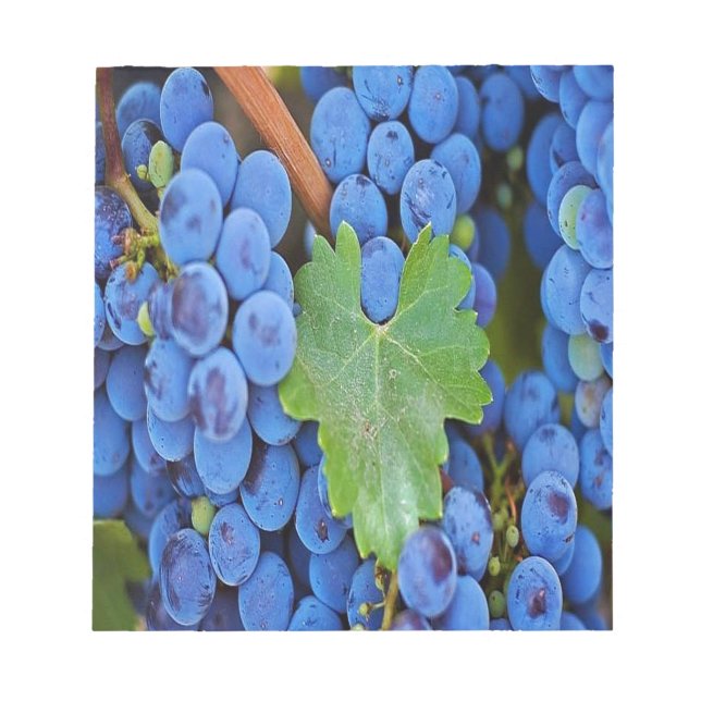 Bloc-note Les raisins sur une vigne (Devant)