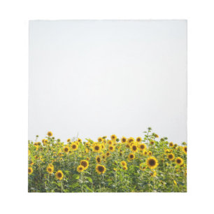 Bloc-note Les tournesols dans un champ