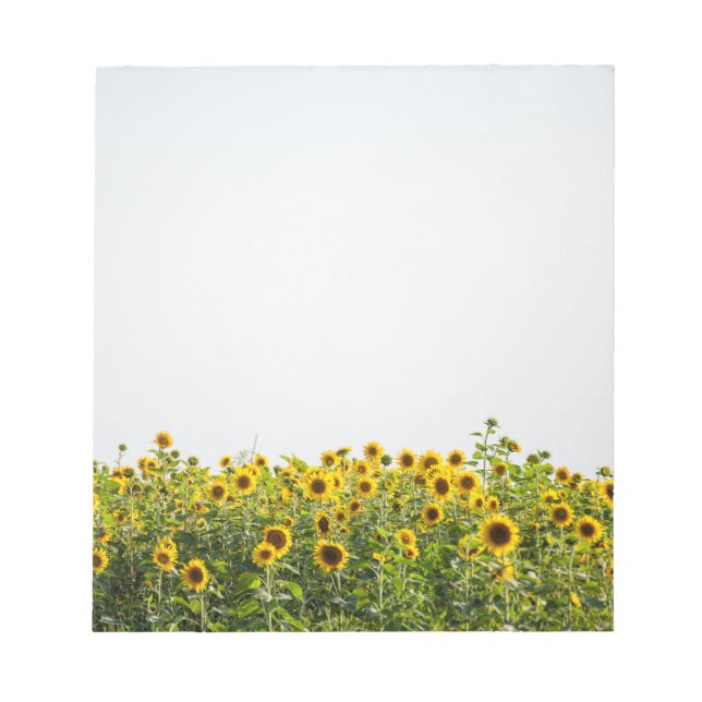 Bloc-note Les tournesols dans un champ (Devant)