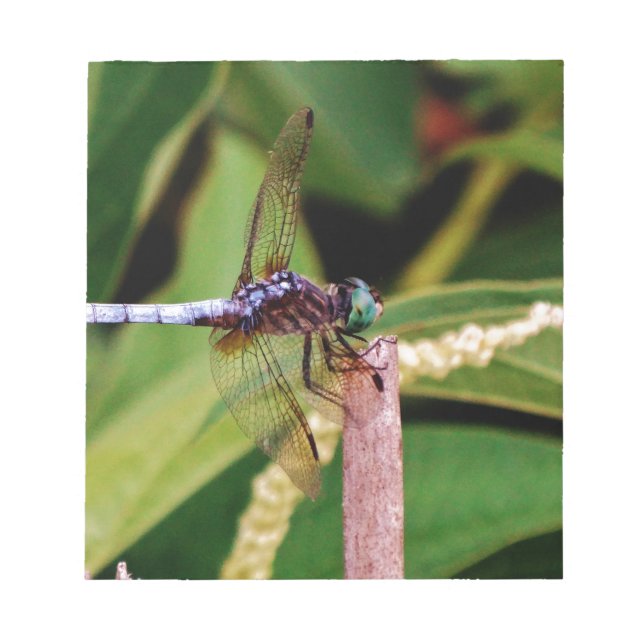 Bloc-note libellule avec fleurs blanches (Devant)