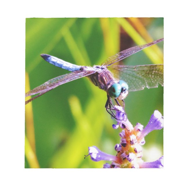 Bloc-note libellule turquoise et violette (Devant)