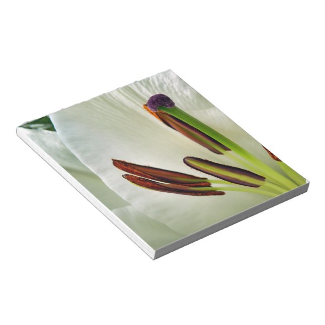 Bloc-note Lilium Oriental Blanc (Incliné)