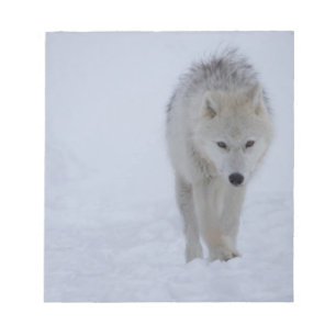 Bloc-note Loup arctique