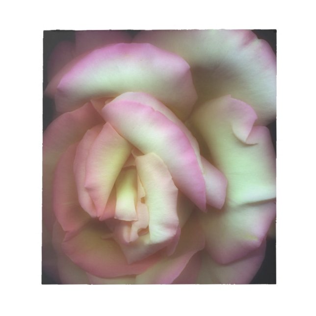 Bloc-note <Love is a Rose>par Nathan Griffith (Devant)