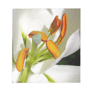 Bloc-note Lys blancs