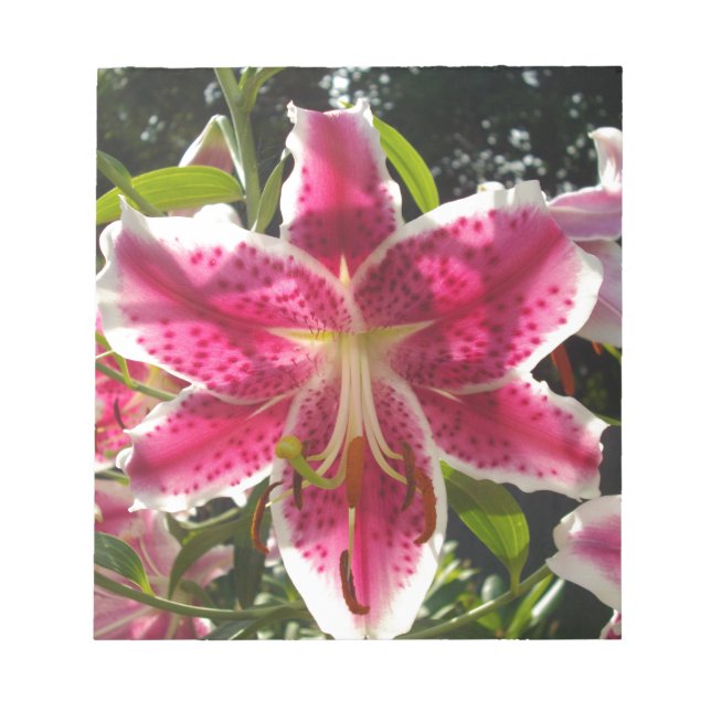 Bloc-note Lys roses fleurs tropicales roses rose (Devant)