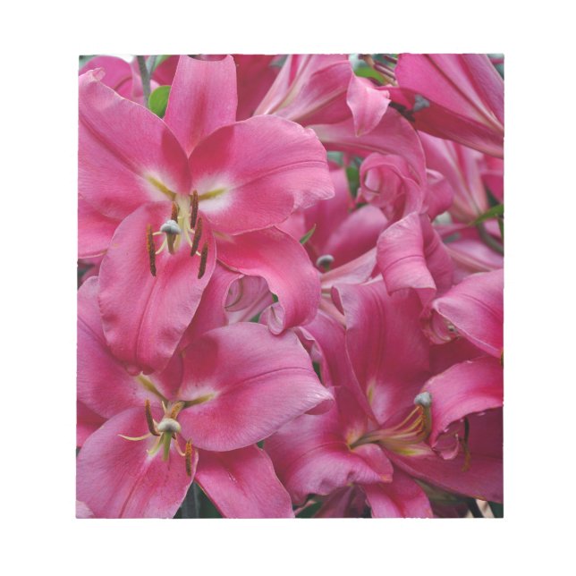 Bloc-note Lys stargazers roses (Devant)