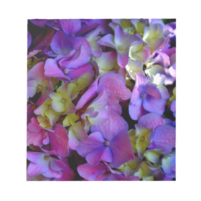 Bloc-note Magenta Purple bleu jaune Hydrangeas fleurs (Devant)