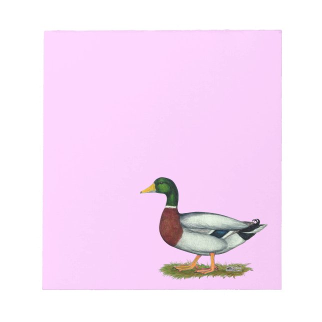 Bloc-note Mallard Duck Drake (Devant)