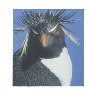 Bloc-note Manchot de Hoppe (Eudyptes chrysocome)