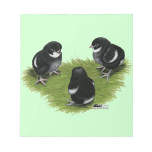 Bloc-note Marans Cuivre noir Chicks