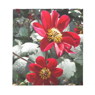 Bloc-note marguerite rose chaud rouge / marguerites fleurs