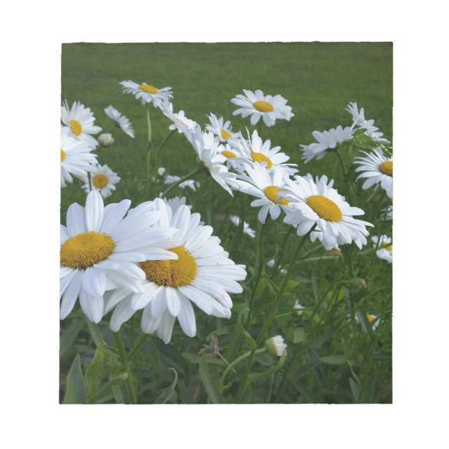 Bloc-note marguerites blanches (Devant)