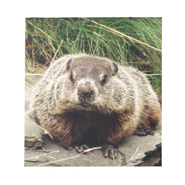 Bloc-note Marmotte (Devant)