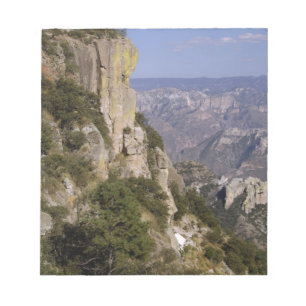 Bloc-note Mexique, État de Chihuahua, Copper Canyon. CECI 2