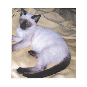 Bloc-note Minou mignon d'animal familier animal d'art de