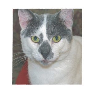 Bloc-note Mister Pants