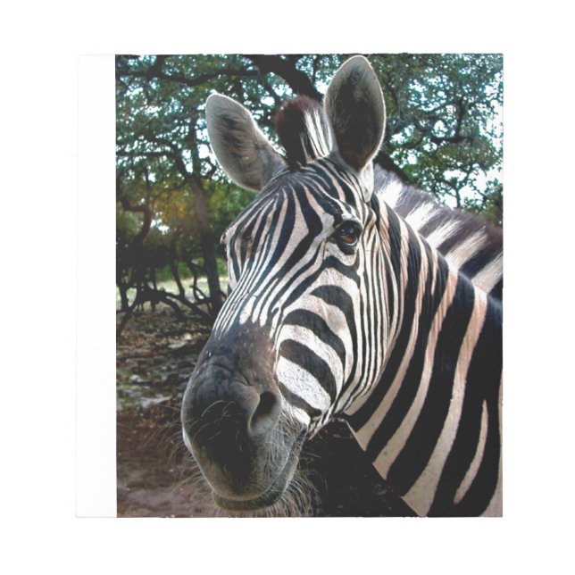 Bloc-note Mon ami trippé (Devant)