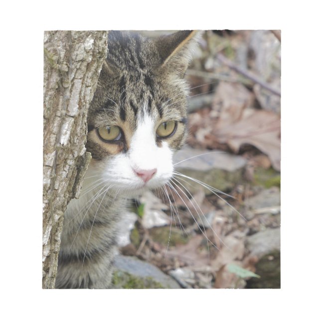 Bloc-note Mon chat de chasse (Devant)