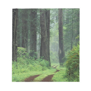 Bloc-note NA, USA, Californie. Parc d'état de la côte del 