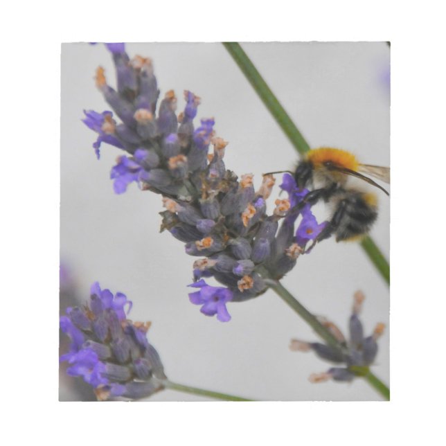 Bloc-note Natures de merveilleux travailleurs (Devant)