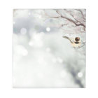 Neige doux poulet d'hiver givre d'oiseaux