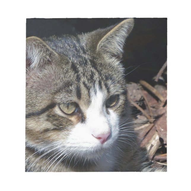 Bloc-note Observation des oiseaux (Devant)