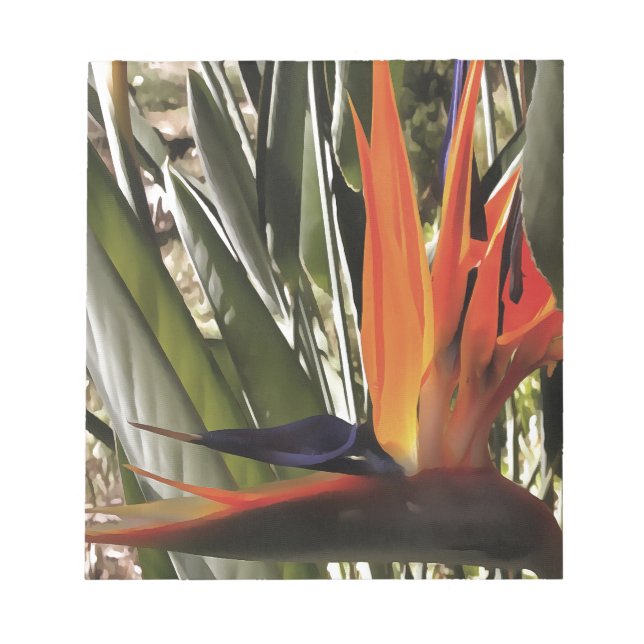 Bloc-note Oiseau du Paradis Strelitzia Reginae Acrylique Pai (Devant)