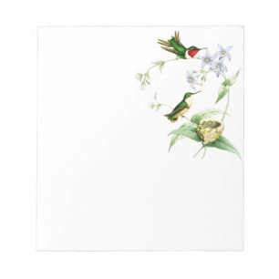 Bloc-note Oiseaux de colibri Faune Animaux Fleurs Florales