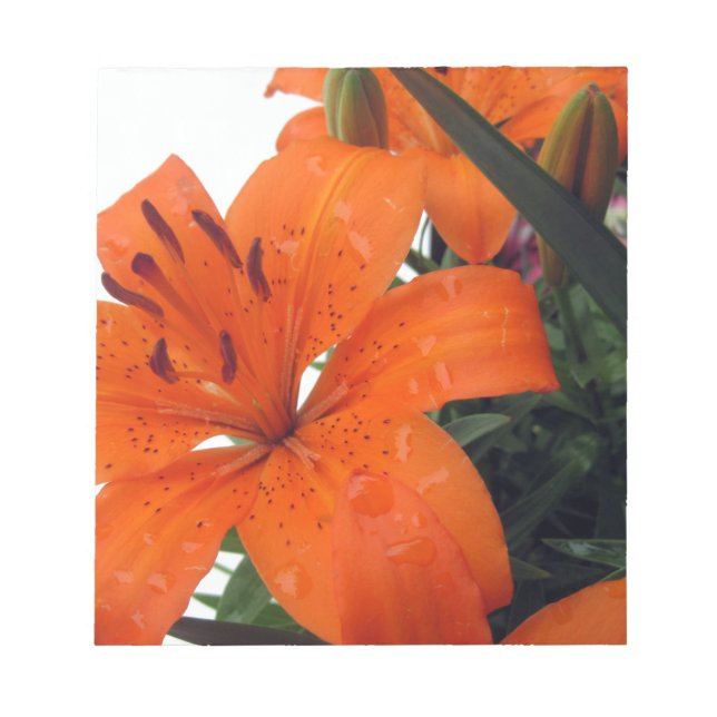 Bloc-note Orange (Devant)