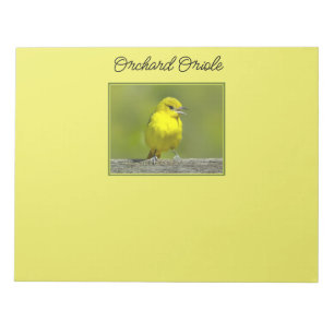 Bloc-note Orchard Oriole - Photo originale