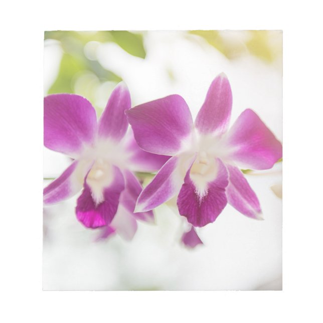 Bloc-note Orchidée (Devant)
