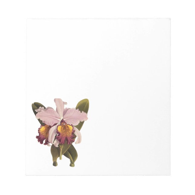 Bloc-note Orchidée vintage violette Cattleya, Fleurs tropica (Devant)