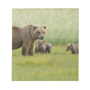 Bloc-note Ours brun d'Alaska femelle et trois oursons, Ursus