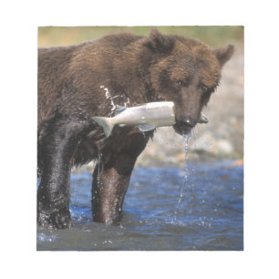 Bloc-note Ours brun, grizzly, avec prise de saumon,