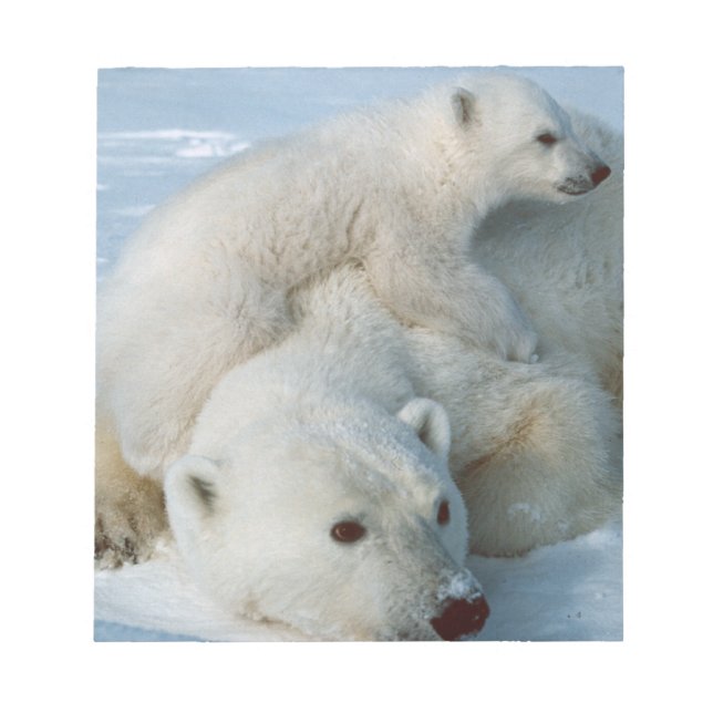 Bloc-note Ours polaire et petits amoureux de la faune (Devant)