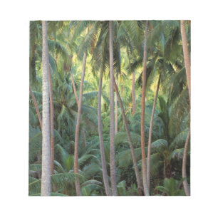 Bloc-note Pacifique Sud, Polynésie française, Bora Bora.