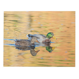 Bloc-note Paire de Mallards