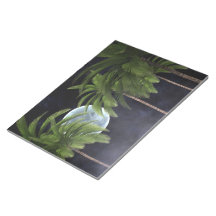 Palmiers contre la lune