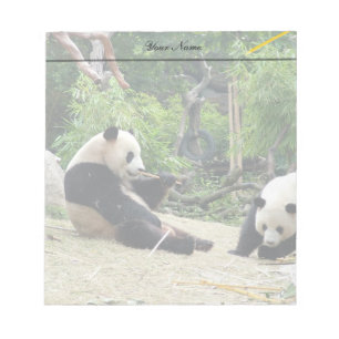 Bloc-note pandas géants