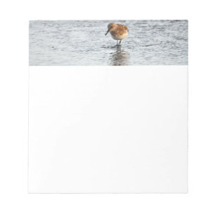 Bloc-note Papier photo Sandpiper Bird