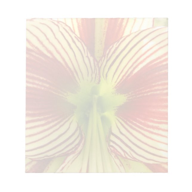 Bloc-note Papillon Amaryllis (Devant)
