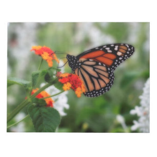 Bloc-note Papillon Monarque sur Orange et Lantana Rouge